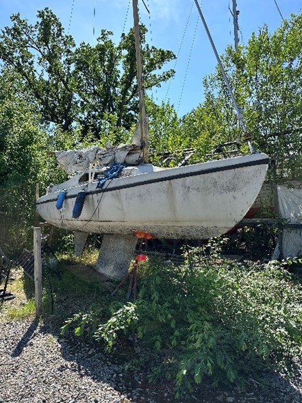 Efterlysning